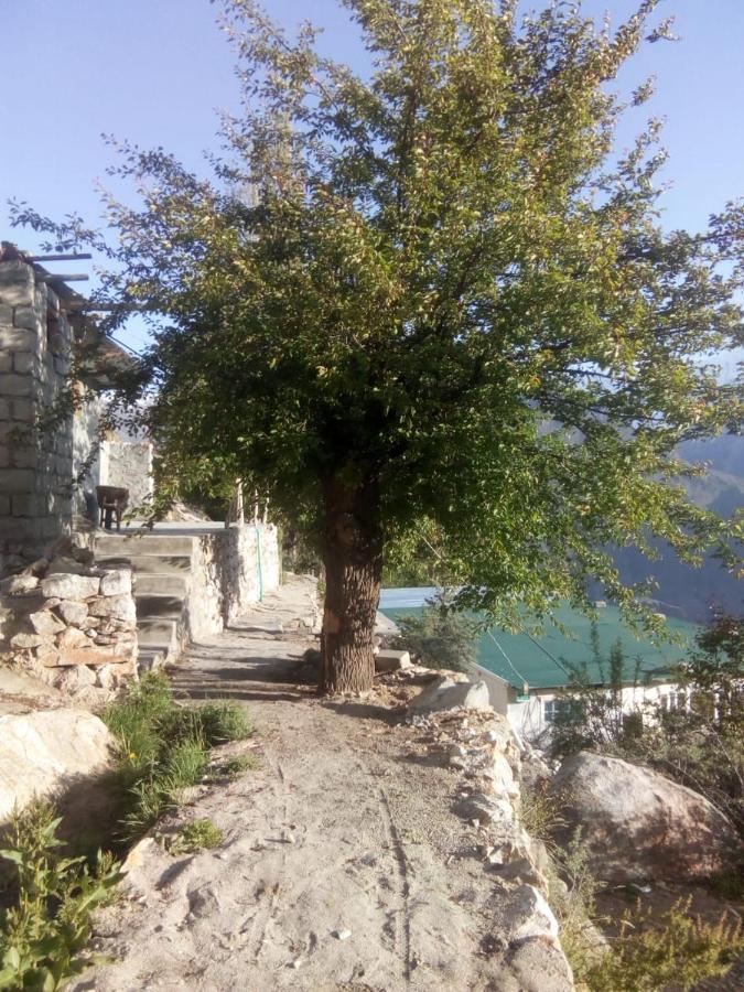 Venus Mountain Resort, Hunza Karimabad  Экстерьер фото